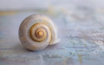 Eine einfache Anleitung für mehr Achtsamkeit