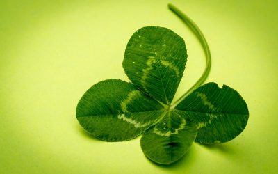 Wie Sie schnell und einfach für gute Glücksgefühle sorgen