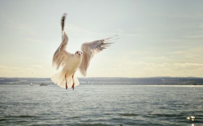 Stärke dein Selbstbewusstsein – mit drei einfachen Übungen