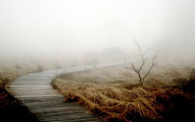 So kann der Tod uns bereichern