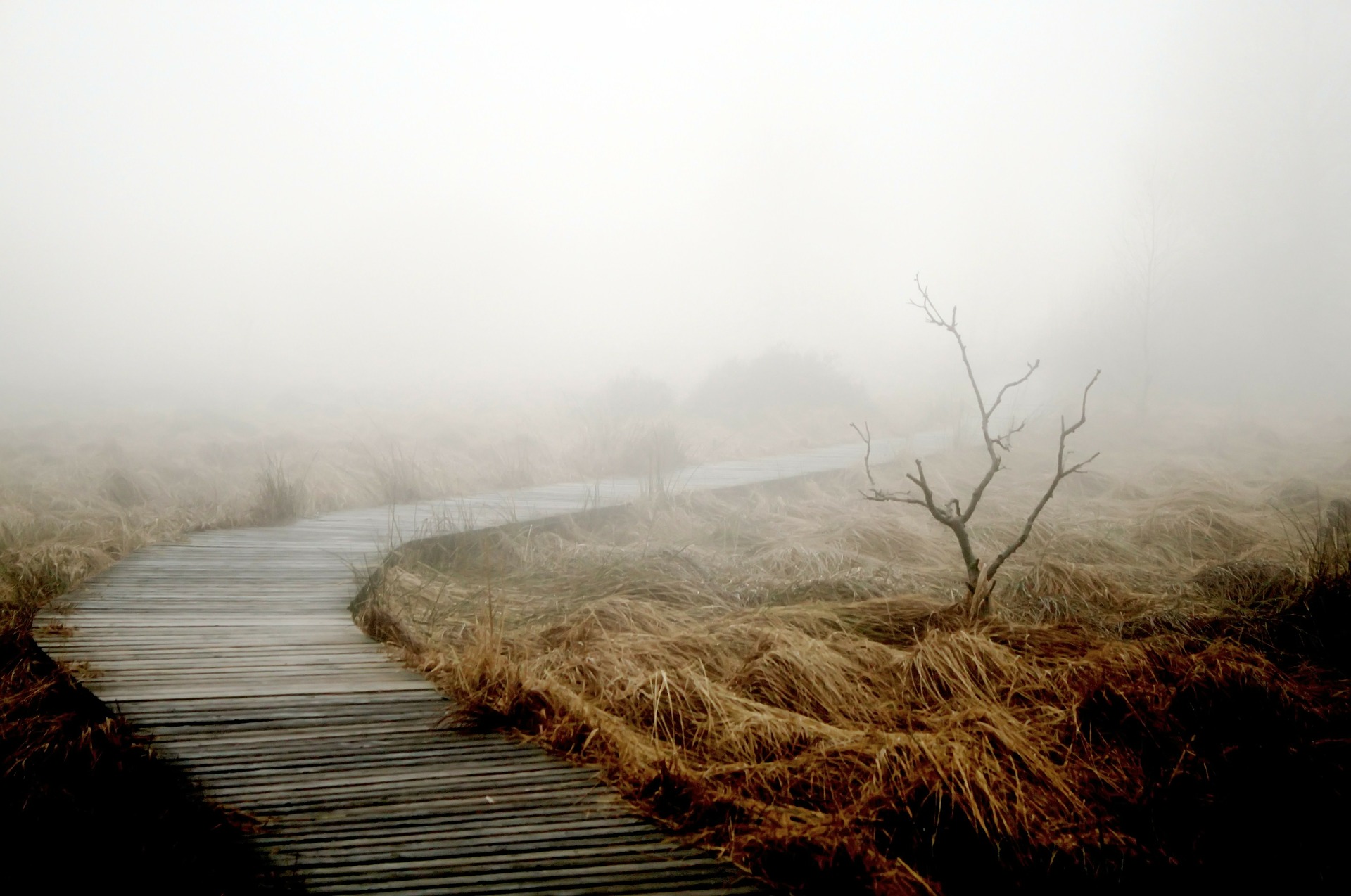 Weg aus Holzplanken im Nebel als Sinnbild für den Tod, der uns bereichern kann