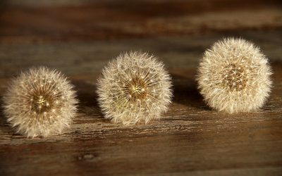 Meine drei besten Tipps fürs Meditieren