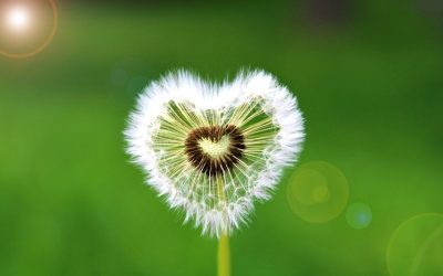 Wie du deine Verletzlichkeit in Stärke und Schönheit verwandelst