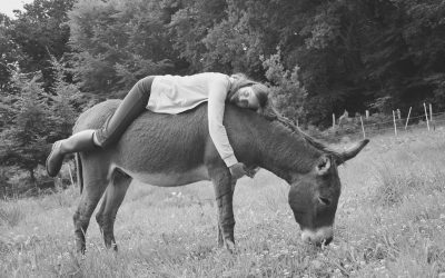 Blaue Flecken auf der Seele – und wie du sie heilen kannst