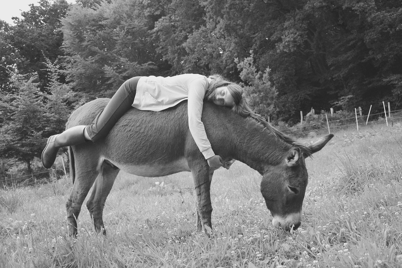 Mädchen liegt entspannt auf einem Esel