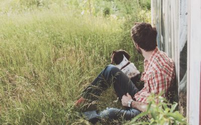 Das DISG Modell –  Der Stetige