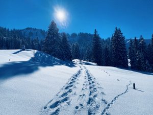 Winterlandschaft mit Spuren im Schnee