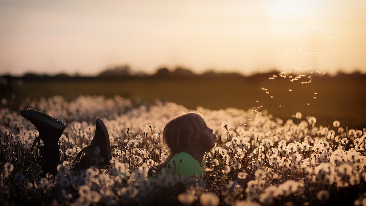 Mädchen liegend auf einer Wiese mit Pusteblumen als Sinnbild für Selbstfürsorge