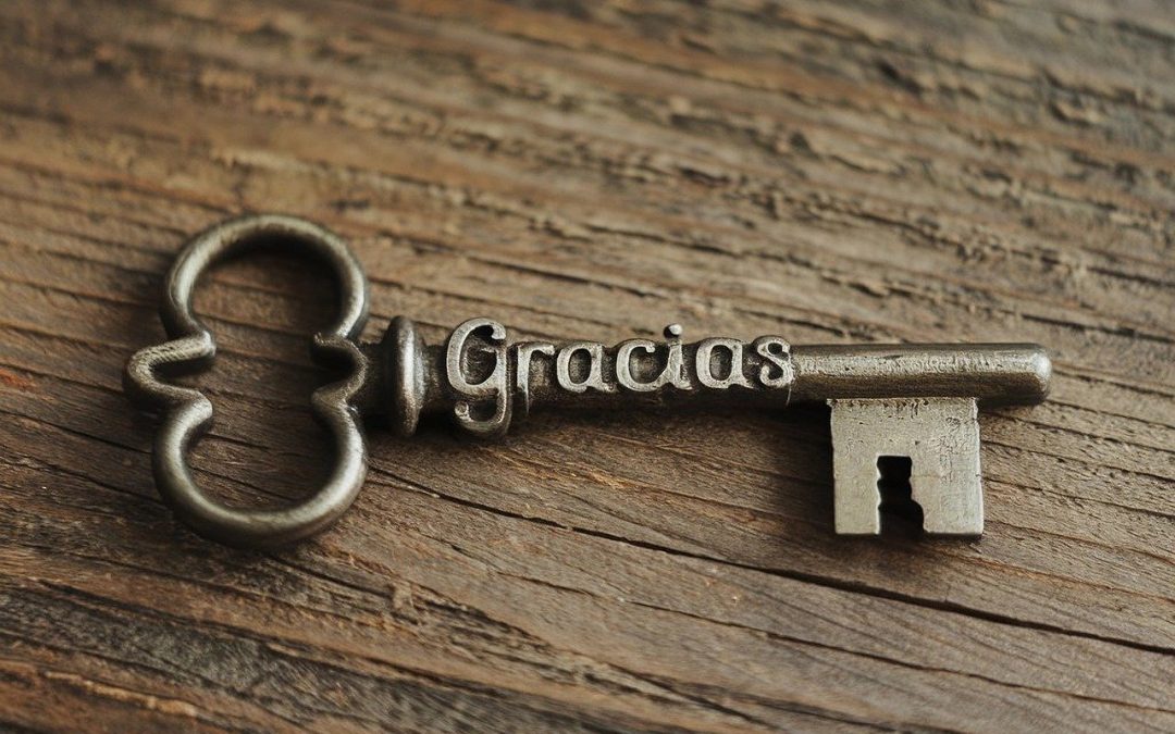 Dankbarkeit: Der Schlüssel gegen negative Gedanken